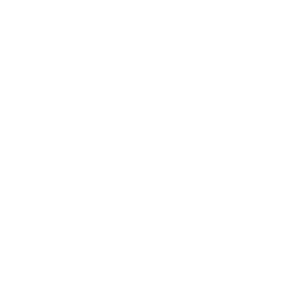 UGC & Short-Form Video (Reels, TikTok) that hooks + converts