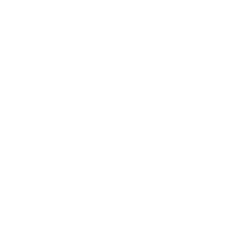 Full Instagram & TikTok Management with content calendars, captions, and community engagement